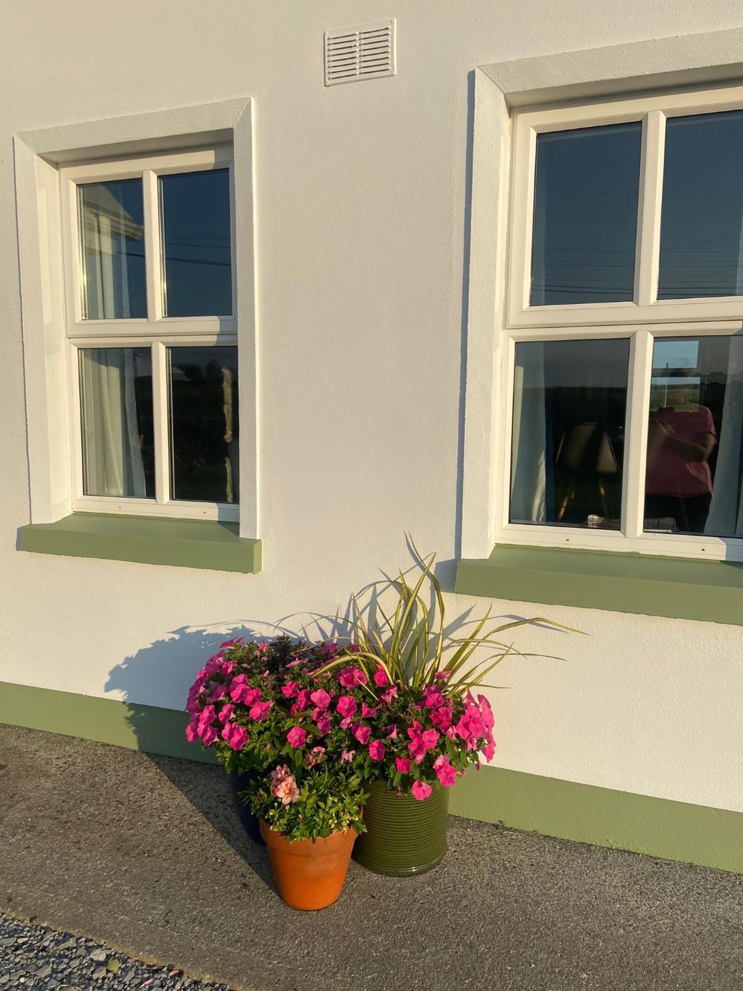 Knockaguilla House Bed & Breakfast 杜林 外观 照片